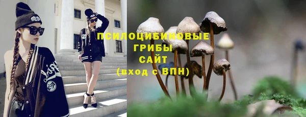 таблы Алексеевка